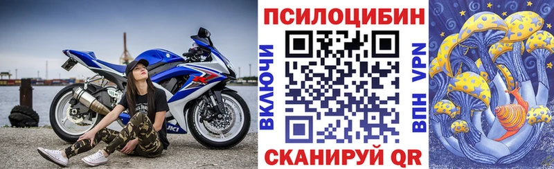 Псилоцибиновые грибы Psilocybe  Северск 